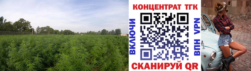 Дистиллят ТГК гашишное масло  Канск 