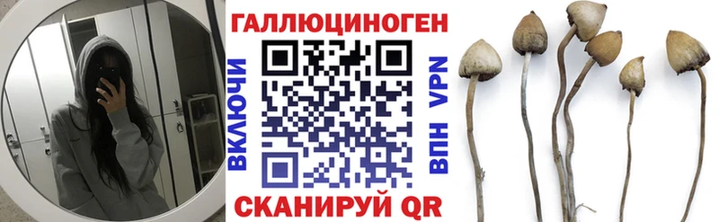 хочу   Канск  гидра ONION  Псилоцибиновые грибы Psilocybine cubensis 